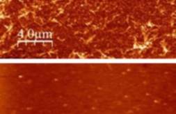 Molecule Discovery Could Lead to New Parkinson's Drug Molecule Discovery Could Lead to New Parkinson's Drug