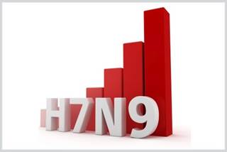Genetic analysis shows three hospital isolates from index patient, two doctors form independent clade Genetic analysis shows three hospital isolates from index patient, two doctors form independent clade