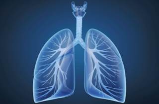 Patients with lung diseases have fewer DNRs, pain assessments than cancer patients Patients with lung diseases have fewer DNRs, pain assessments than cancer patients