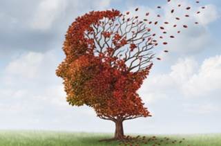 Nine Factors That Appear to Elevate Alzheimer's Risk Nine Factors That Appear to Elevate Alzheimer's Risk