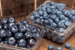 Benefits of Blueberries for PTSD Explored in Study Benefits of Blueberries for PTSD Explored in Study