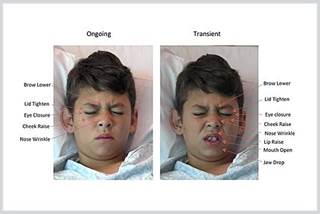 Image courtesy of the UC San Diego School of Medicine Image courtesy of the UC San Diego School of Medicine