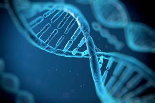 Gene Linked to Vitamin D May Boost Diet Effect in T2DM Gene Linked to Vitamin D May Boost Diet Effect in T2DM