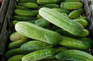 Over 700 Sickened by Latest <i>Salmonella</i> Outbreak Over 700 Sickened by Latest <i>Salmonella</i> Outbreak