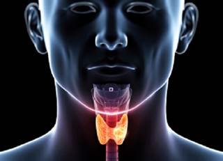 Provider volume is associated with outcome for those treated with intensity-modulated radiation therapy Provider volume is associated with outcome for those treated with intensity-modulated radiation therapy