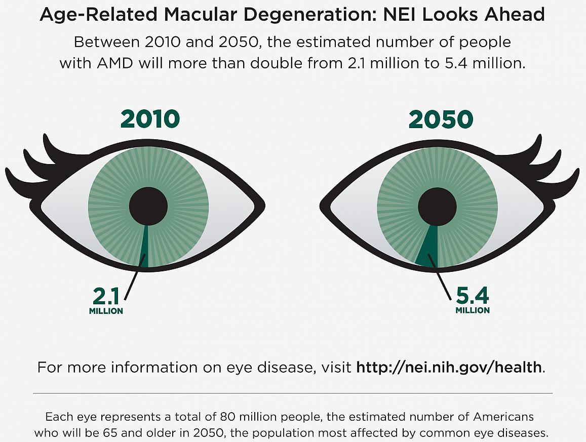age related macular degeneration amd therapeutics market age related macular degeneration amd therapeutics market