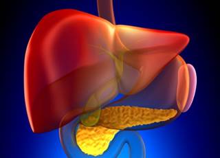 Findings may lead to better therapies, team says Findings may lead to better therapies, team says