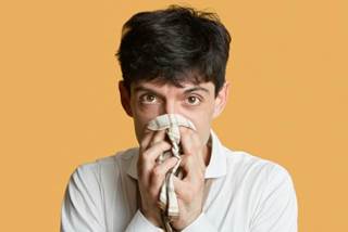Study demonstrates estrogens anti-viral qualities Study demonstrates estrogens anti-viral qualities