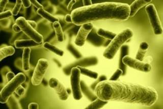 Investigators examined antibiotic use in patients with bipolar disorder, schizophrenia, and major depressive disorder. Investigators examined antibiotic use in patients with bipolar disorder, schizophrenia, and major depressive disorder.