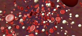 Testosterone undecanoate reduces anemia in patients with subnormal testosterone levels Testosterone undecanoate reduces anemia in patients with subnormal testosterone levels