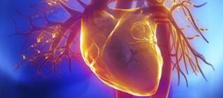 Researchers tie paracardial adipose tissue to raised risk of coronary artery calcification Researchers tie paracardial adipose tissue to raised risk of coronary artery calcification