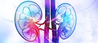 No difference in ESRD or doubling of serum creatinine with valsartan versus placebo No difference in ESRD or doubling of serum creatinine with valsartan versus placebo
