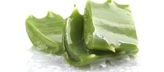 A possible mechanism of aloe vera may be attenuated to the absorption of glucose A possible mechanism of aloe vera may be attenuated to the absorption of glucose