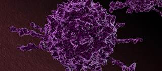 A total of 99 patients took part in the trial A total of 99 patients took part in the trial