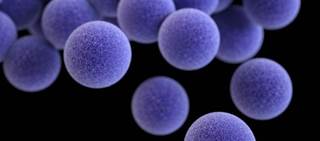 Among study participants with clindamycin-resistant S. aureus cure rates were lower Among study participants with clindamycin-resistant S. aureus cure rates were lower