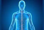 FDA Fast-Tracks Non-Opioid Treatment for Neuropathic Pain FDA Fast-Tracks Non-Opioid Treatment for Neuropathic Pain