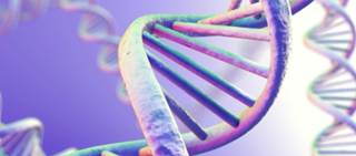 AC6 gene transfer increased left ventricular function through a single administration AC6 gene transfer increased left ventricular function through a single administration