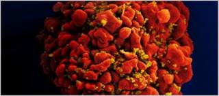 Long-acting formulation protects humanized mice from repeated high-dose vaginal HIV challenges Long-acting formulation protects humanized mice from repeated high-dose vaginal HIV challenges