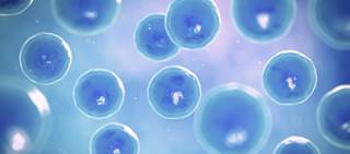 The ClearLLab test is intended to identify malignant cells in the blood, bone marrow, and lymph nodes The ClearLLab test is intended to identify malignant cells in the blood, bone marrow, and lymph nodes