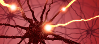 The supplement seeks to obtain approval for a new indication to treat chronic inflammatory demyelinating polyneuropathy The supplement seeks to obtain approval for a new indication to treat chronic inflammatory demyelinating polyneuropathy