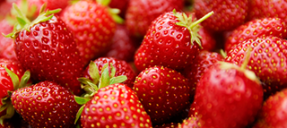 Increasing research has shown multiple benefits of anthocyanin — a main component of strawberries Increasing research has shown multiple benefits of anthocyanin — a main component of strawberries