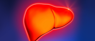 Transmission of HEV through plasma exchange for acute humoral rejection after kidney transplant Transmission of HEV through plasma exchange for acute humoral rejection after kidney transplant