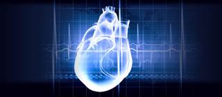 Researchers have summarized key recommendations in the area of BP classification, BP measurement, and screening Researchers have summarized key recommendations in the area of BP classification, BP measurement, and screening