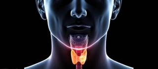 No significant cancer link for hypothyroidism patients who were irregular thyroxine users No significant cancer link for hypothyroidism patients who were irregular thyroxine users
