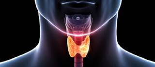 Longer overall survival compared with single-agent therapy for platinum-refractory squamous-cell cancer Longer overall survival compared with single-agent therapy for platinum-refractory squamous-cell cancer