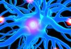 Is Pregabalin Effective for Chronic, Post-Traumatic Neuropathic Pain? Is Pregabalin Effective for Chronic, Post-Traumatic Neuropathic Pain?