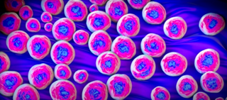 Researchers evaluated articles from 1980 to 2016, examining ceftraline as salvage monothreapy for persistent MRSA Researchers evaluated articles from 1980 to 2016, examining ceftraline as salvage monothreapy for persistent MRSA