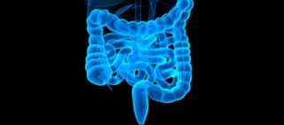 Donor stool safe, more efficacious than autologous transplantation in preventing <i>C. difficile</i> Donor stool safe, more efficacious than autologous transplantation in preventing <i>C. difficile</i>