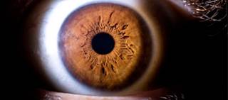Injection drug users have fewer comorbidities and more improvement in visual acuity after intervention Injection drug users have fewer comorbidities and more improvement in visual acuity after intervention