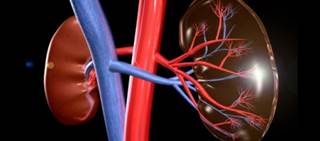 HCV Treatment Patterns in Patients With Advanced CKD HCV Treatment Patterns in Patients With Advanced CKD