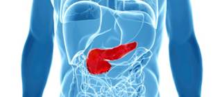 Longer overall survival for patients with sufficient prediagnostic 25-hydroxyvitamin D Longer overall survival for patients with sufficient prediagnostic 25-hydroxyvitamin D