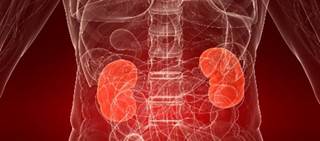 Findings in patients with locoregional, high-risk clear-cell renal-cell carcinoma Findings in patients with locoregional, high-risk clear-cell renal-cell carcinoma
