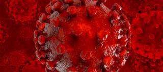 For patients with hepatocellular carcinoma undergoing transplant, HIV doesn't worsen prognosis For patients with hepatocellular carcinoma undergoing transplant, HIV doesn't worsen prognosis