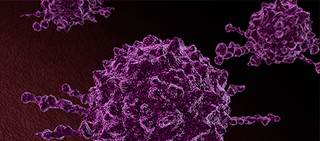 Researchers cite population aging and growth Researchers cite population aging and growth