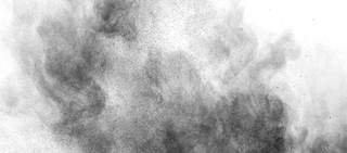 House Dust Mite Allergen Immunotherapy Deemed Safe House Dust Mite Allergen Immunotherapy Deemed Safe