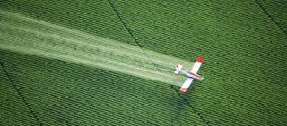 Researchers found that ASD and DD prevalence correlated with aerial pesticide exposure Researchers found that ASD and DD prevalence correlated with aerial pesticide exposure