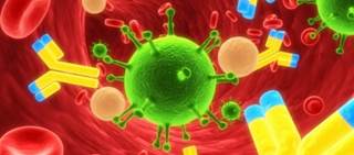 FDA Accepts IVIG-SN BLA for Primary Immunodeficiency FDA Accepts IVIG-SN BLA for Primary Immunodeficiency