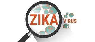 Apparent resurgence of Zika virus and GBS early in 2016, but no subsequent increase in microcephaly Apparent resurgence of Zika virus and GBS early in 2016, but no subsequent increase in microcephaly