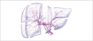 The study included 10,083 patients who were HIV-positive and initiated ART The study included 10,083 patients who were HIV-positive and initiated ART