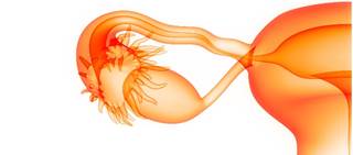 Treatment decisions should be informed by patient priorities – in this case hirsutism, irregular menses Treatment decisions should be informed by patient priorities – in this case hirsutism, irregular menses