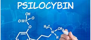 Six-month abstinence rates were higher with psilocybin than with other meds or CBT alone Six-month abstinence rates were higher with psilocybin than with other meds or CBT alone