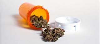 Significantly lower hip and spine density was found in heavy cannabis users compared to controls Significantly lower hip and spine density was found in heavy cannabis users compared to controls