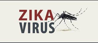 Zika virus congenital syndrome is a new teratogenic disease Zika virus congenital syndrome is a new teratogenic disease