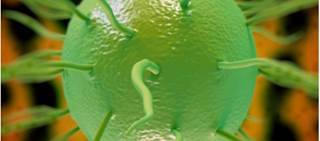 New cases show decreased susceptibility to ceftriaxone and very high-level resistance to azithromycin New cases show decreased susceptibility to ceftriaxone and very high-level resistance to azithromycin