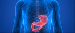 Trimethylamine N-oxide may trigger plaque build-up in blood vessels Trimethylamine N-oxide may trigger plaque build-up in blood vessels