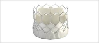 The valve is made of cow tissue attached to a balloon-expandable, cobalt-chromium frame for support. The valve is made of cow tissue attached to a balloon-expandable, cobalt-chromium frame for support.
